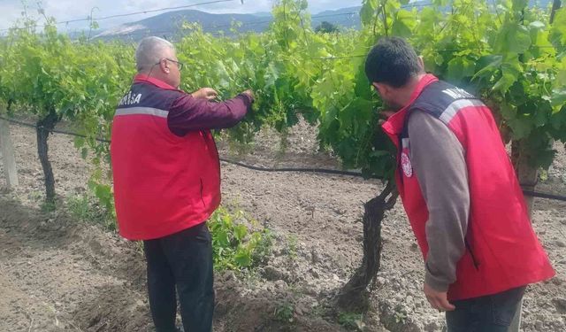 Manisa’da tarım denetimleri hız kesmiyor