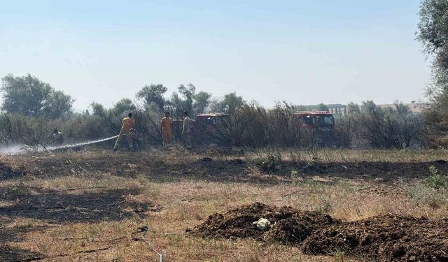 Balıkesir’de iki ayrı ilçede çıkan arazi yangınları kontrol altına alındı
