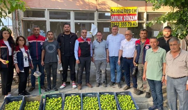 Aydın’da ilek pazarı denetimleri aralıksız sürüyor