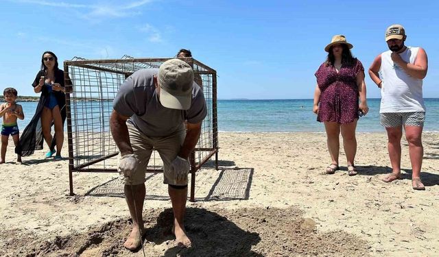 Aydın’da yılın ilk Caretta Caretta yuvası tespit edildi