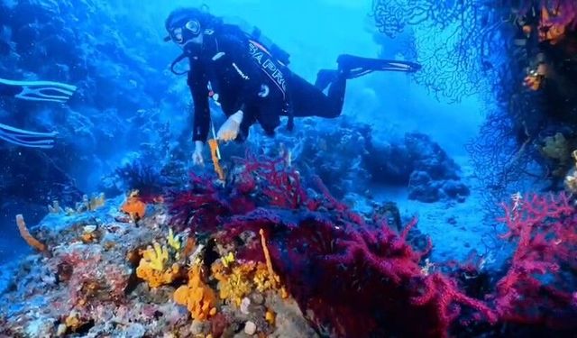 Ayvalık’ta dalış turizmine müjde