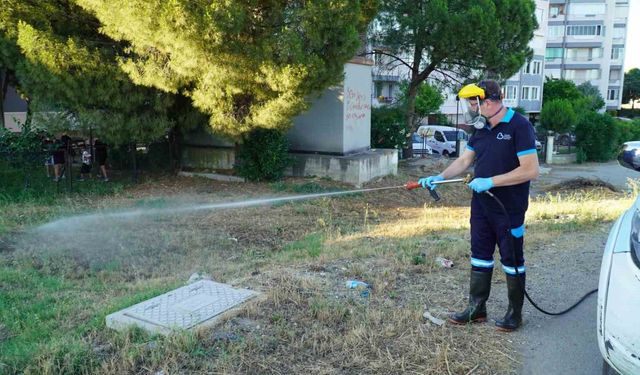 Balıkesir’de vektörle mücadelede tam zamanlı mesai