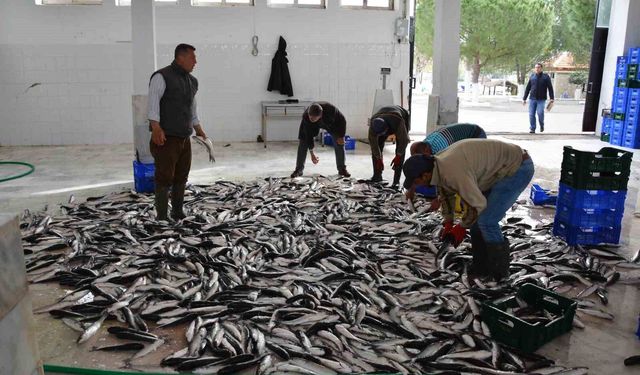 Ocak-Mayıs döneminde Muğla ihracatı yüzde 6,5 arttı