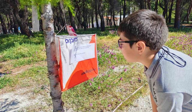 Manisa’da Siyer-i Nebi Oryantiring Yarışması düzenlendi