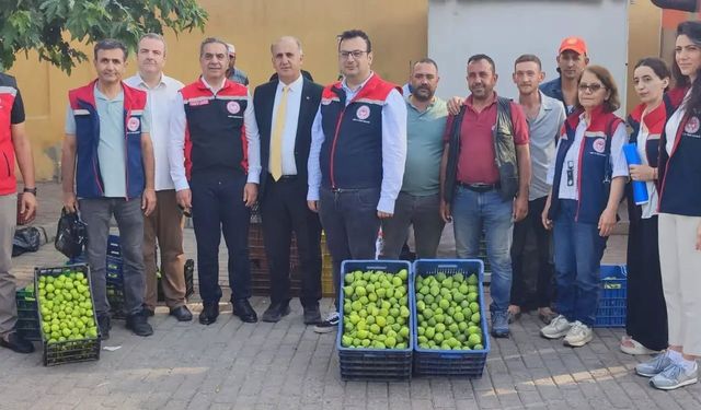 Aydın’ın dünya markası inciri için sahada yoğun mesai