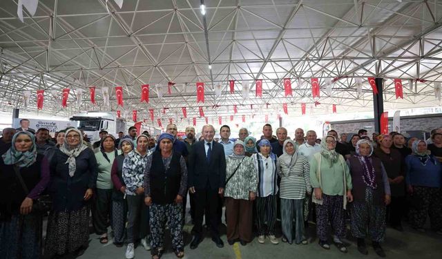 Denizli Büyükşehir 6 bin 317 yetiştiriciye yem desteği sağladı