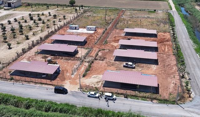 Efeler Belediyesi’nden sokak hayvanları için yeni yaşam alanı