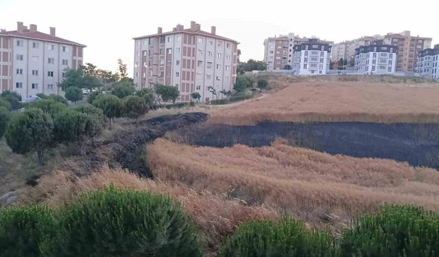 Bandırma’da buğday tarlası yangını korkuttu