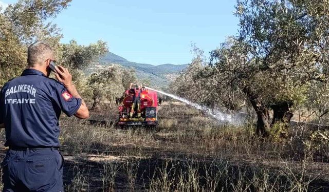 Balıkesir Ziraat Odası Başkanı Demirbay: "Bir yıllık emek bir sigara izmaritiyle kül olmasın"