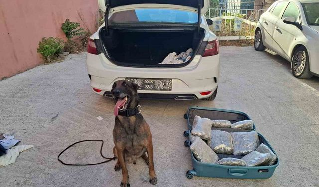Balıkesir polisinden ’Narkorekor’