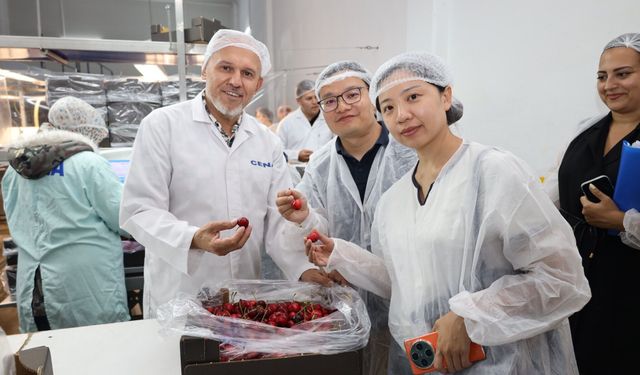 Türk kirazı Çin pazarına girmek için gün sayıyor