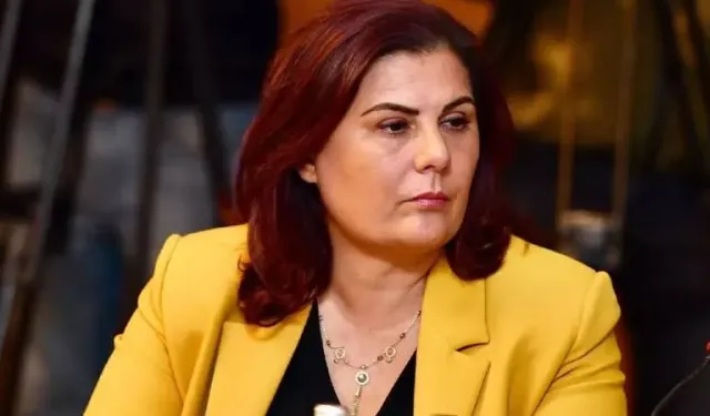 Özlem Çerçioğlu'nun yargılandığı davada karar çıktı