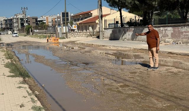 AK Partili Güzel'den Özgürlük Caddesi tepkisi