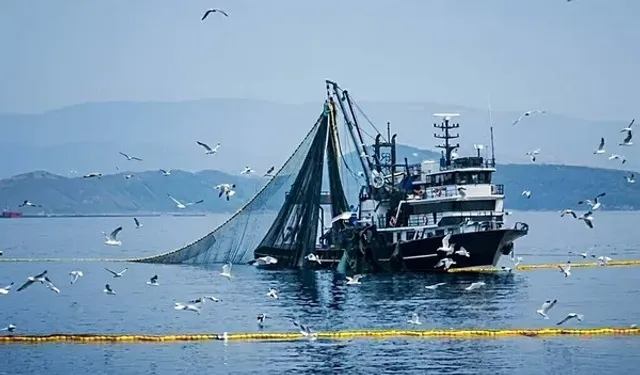 İzmir Körfezi için dikkat çeken iddia: Balıkçılıkta rekor beklentisi