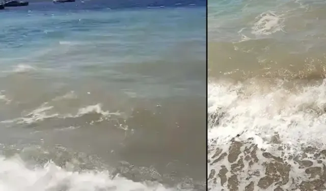Bodrum’da deniz kirliliğine soruşturma başlatıldı!