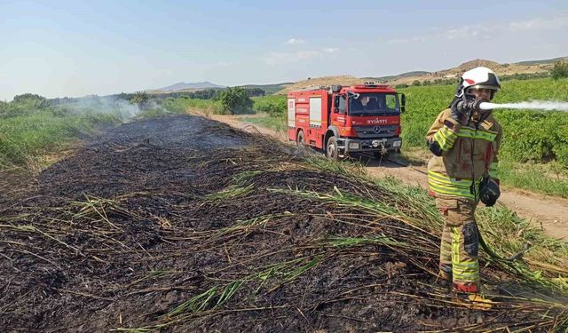 Aşırı sıcaklar Manisa’yı ateş çemberine çevirdi