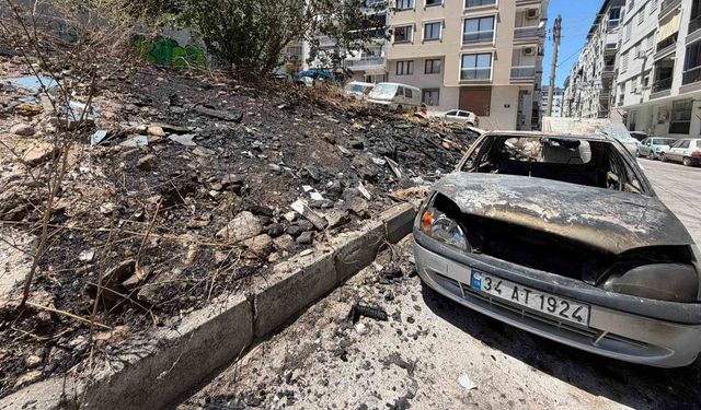 Çöplük alanda çıkan yangın otomobili küle çevirdi