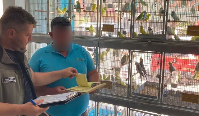 Çanakkale’de petshop denetimi