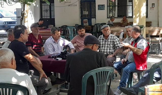 Muğla ve Milas’ta tarla faresi mücadelesi