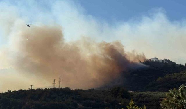 Çanakkale’de 4 gün boyunca ateş yakmak yasaklandı