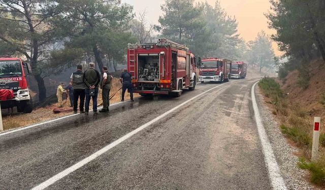 Balıkesir’deki yangın sebebiyle Ayvalık Bergama yolu trafiğe kapatıldı