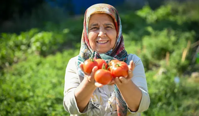 Altındağ Kent Bostanı’nda ilk hasat başladı