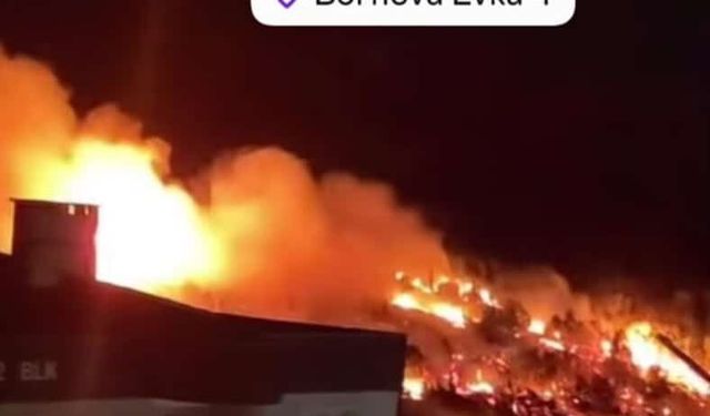 Bornova Eğridere'de orman yangınına havadan ve karadan müdahale