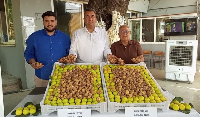 Nazilli'de yeni incir sezonu sembolik Bir alımla başladı