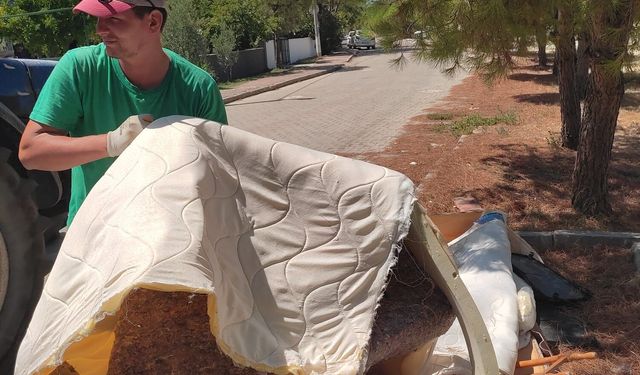 Altınova’da Üç Müdürlüğün İş Birliğiyle Detaylı Temizlik