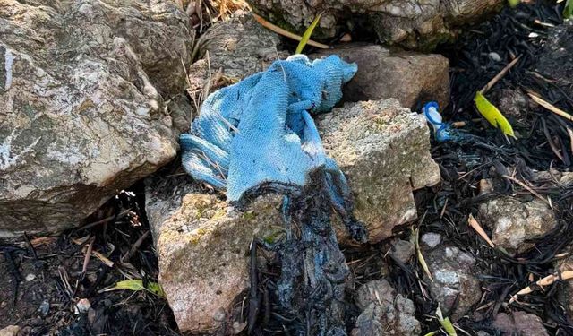 Marmaris’te ormanı yakmaya çalışan şüpheli yakalandı