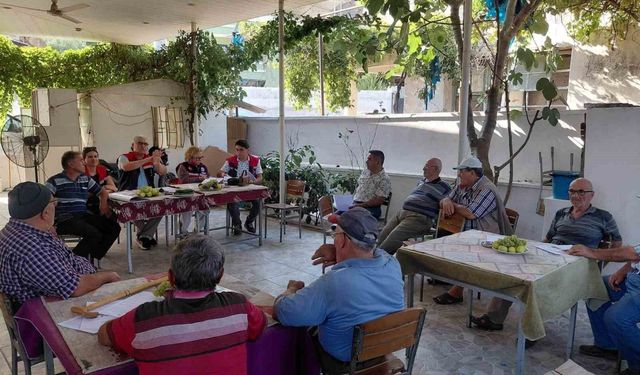 Nazilli’de üreticilere sağlıklı incir üretimi için önemli uyarılar