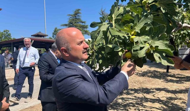 Aydın’a 100 milyonluk yatırım