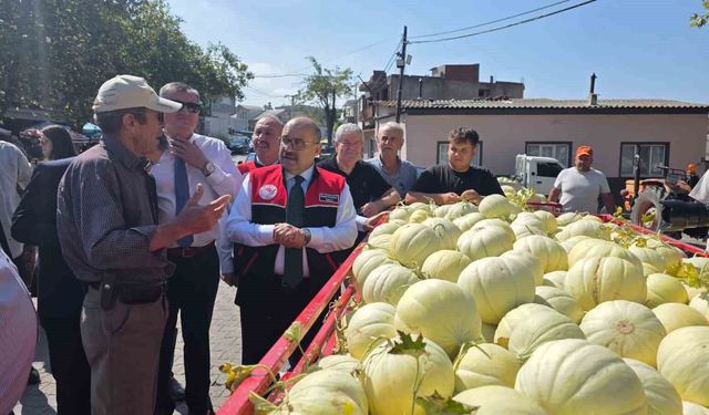 Balıkesir’de ata tohumuyla yetiştirilen beyaz kavunun hasadı başladı