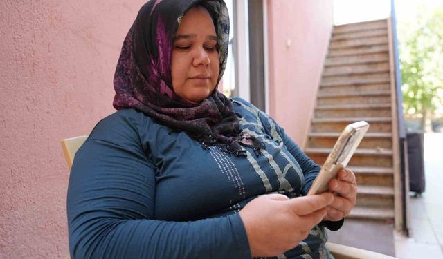 Denizli’de sokak hayvanlarının zehirlenerek öldürüldüğü iddiası