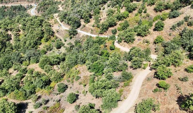 Nazilli Belediyesi Apaklar’da yolları yeniliyor