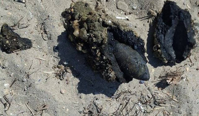 Çanakkale’de plajda savaştan kalma olduğu değerlendirilen askeri mühimmat bulundu