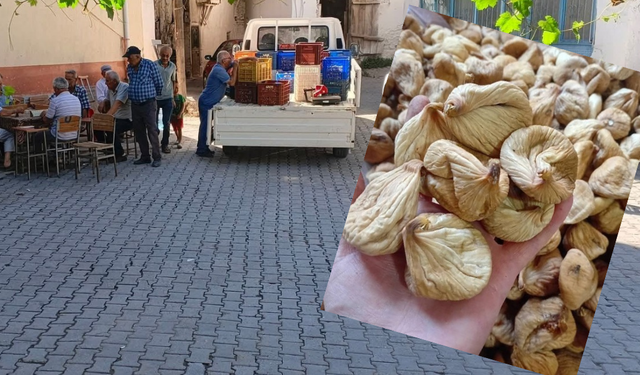 Bozdoğan'da kuru incir 400 TL'den alıcı buldu