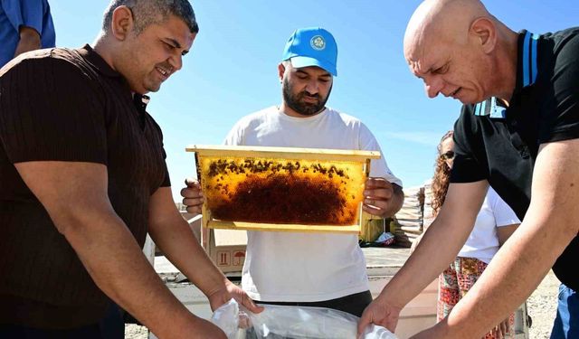 Manisa’da arıcıların peteklerine eksi 30 derecelik koruma