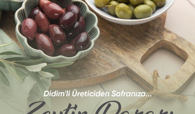 Didim Belediye Başkanı Gençay: "Zeytin üreticilerimiz için yeni bir satış alanı oluşturuyoruz"