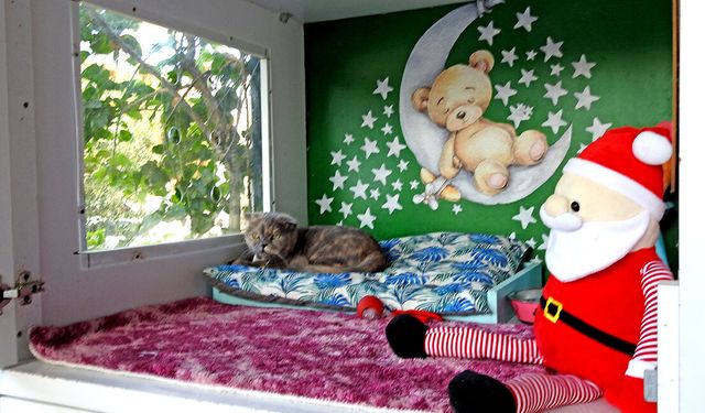 Çeşme’de pet hizmetlerini sosyal sorumlulukla buluşturdular
