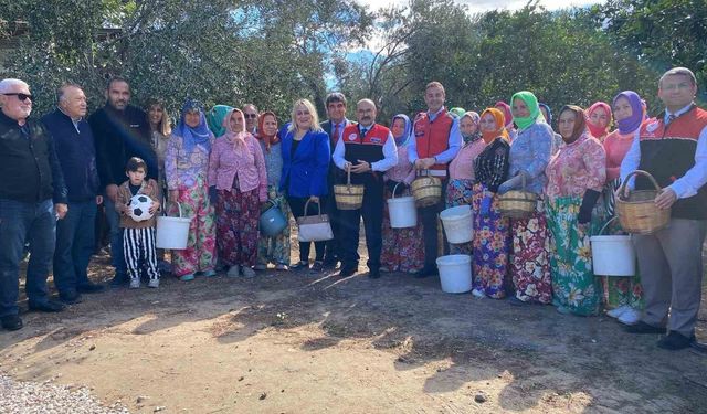 Ayvalık’ta ilk zeytin hasadına dua ve hayır yemekli başlangıç