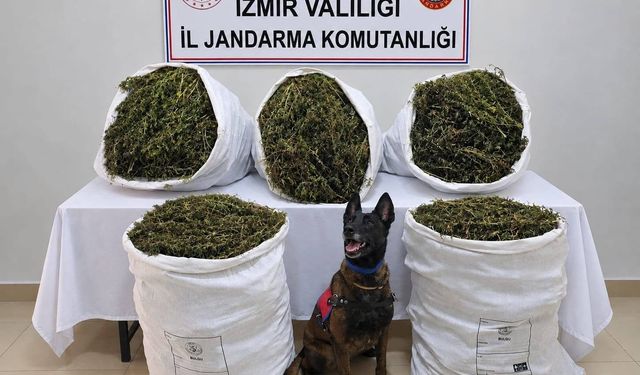 İzmir’de uyuşturucu operasyonu: 54 kilo 800 gram esrar ele geçirildi, 3 kişi tutuklandı