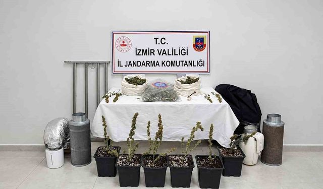 İzmir’de saksıda uyuşturucu yetiştiren şüpheli yakalandı