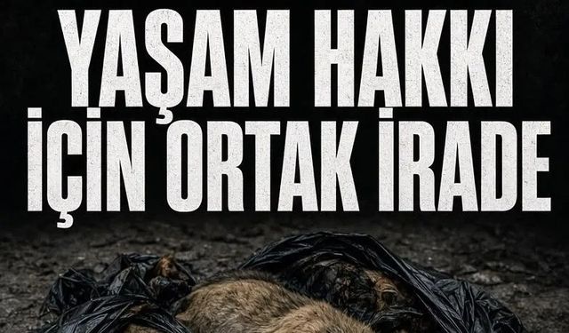 HAYVAN HAKLARI SAVUNUCULARI 8 KASIM’DA ANTALYA’DA BULUŞUYOR'