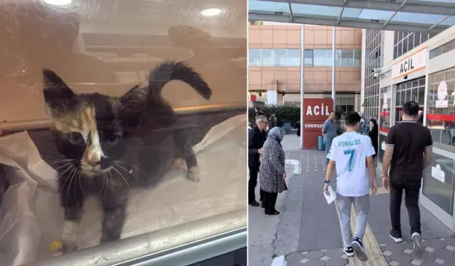 Tokat'ta norovirüs vakaları sonrası hayvanlar için uyarı