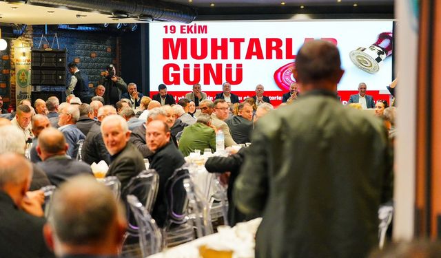 Birlikte Yönetim, Sahada Hizmet