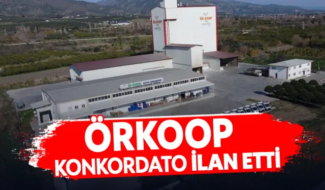 Aydın'da 47 yıllık üretici kooperatifi ÖRKOOP konkordato ilan etti