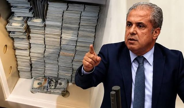 Şamil Tayyar'dan "fon" çıkışı:  Aç gözlüler devleti zehirledi