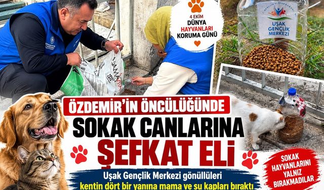 Uşak’ta sokak hayvanlarına gençlerden şefkat eli