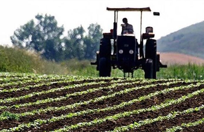 TARGET Başkanı Taluğ: Çiftçilik itibarsızlaştı